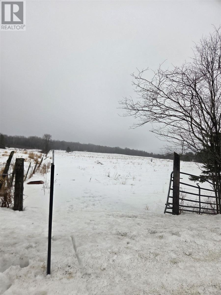 Lot 29 Braniff Rd, Plummer Additional, ON