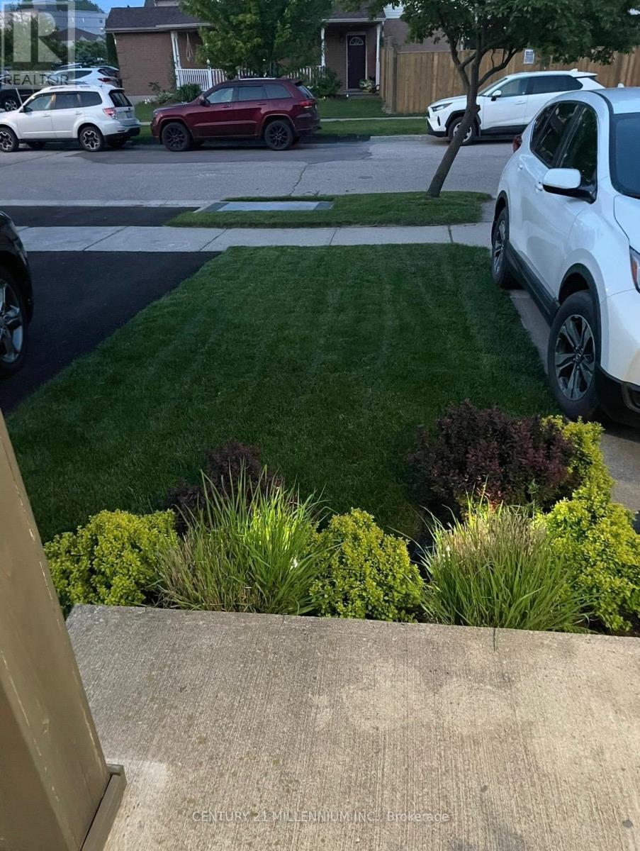 82 Orchid Crescent, Kitchener, ON - Outdoor