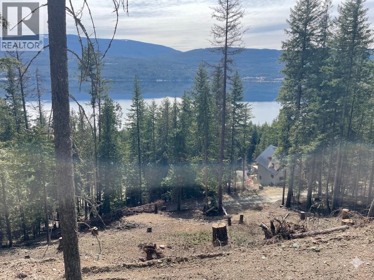2401 Vickers Trail, Anglemont, BC