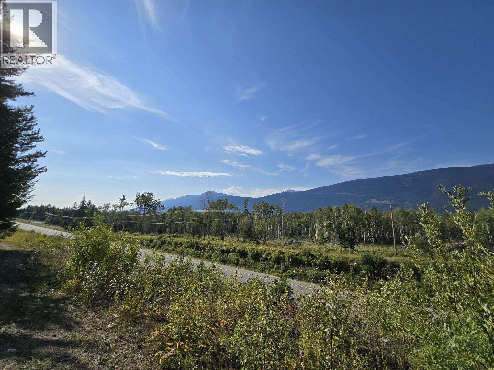 11328 E 16 Highway, Valemount, BC