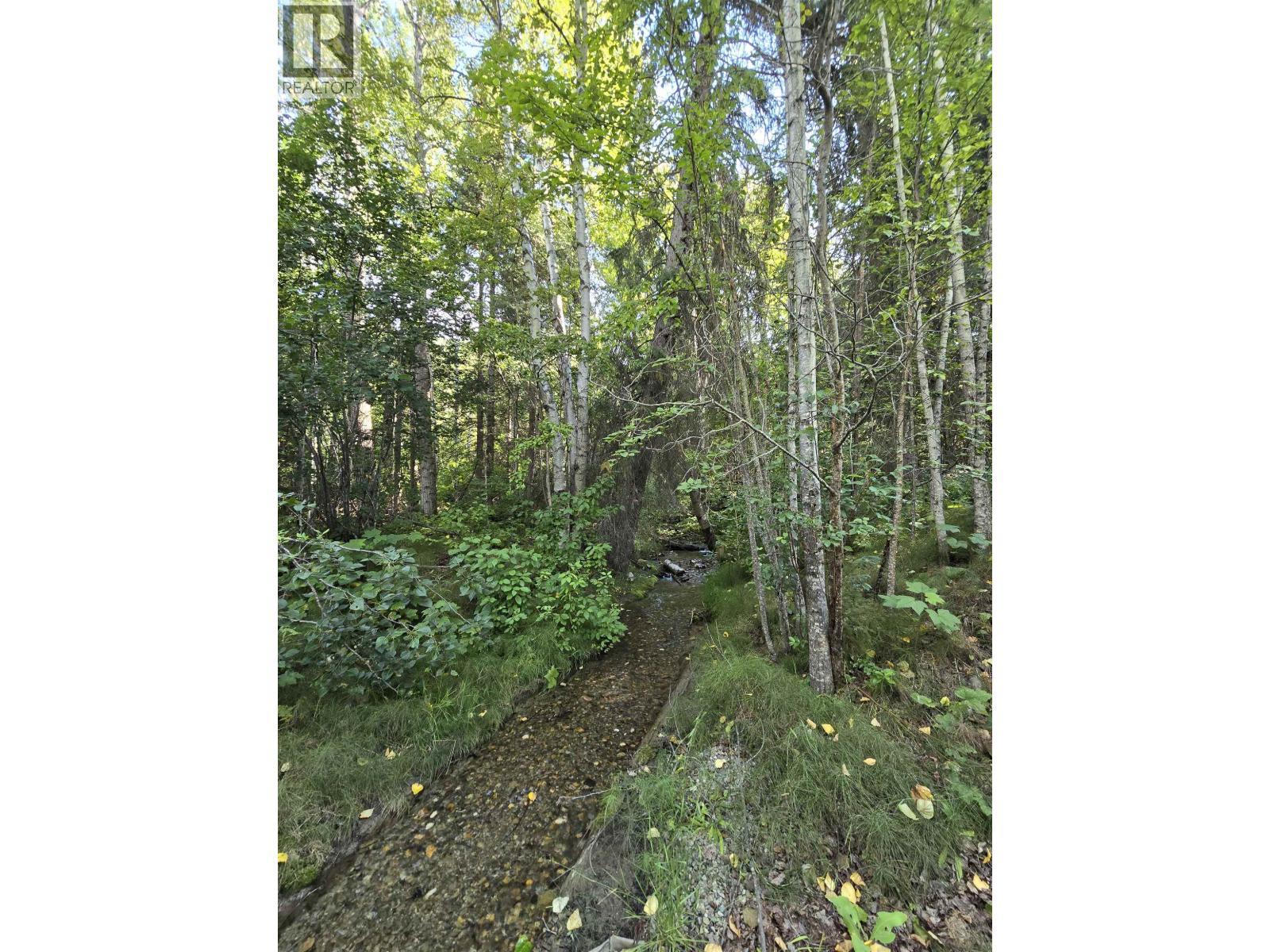11328 E 16 Highway, Valemount, BC