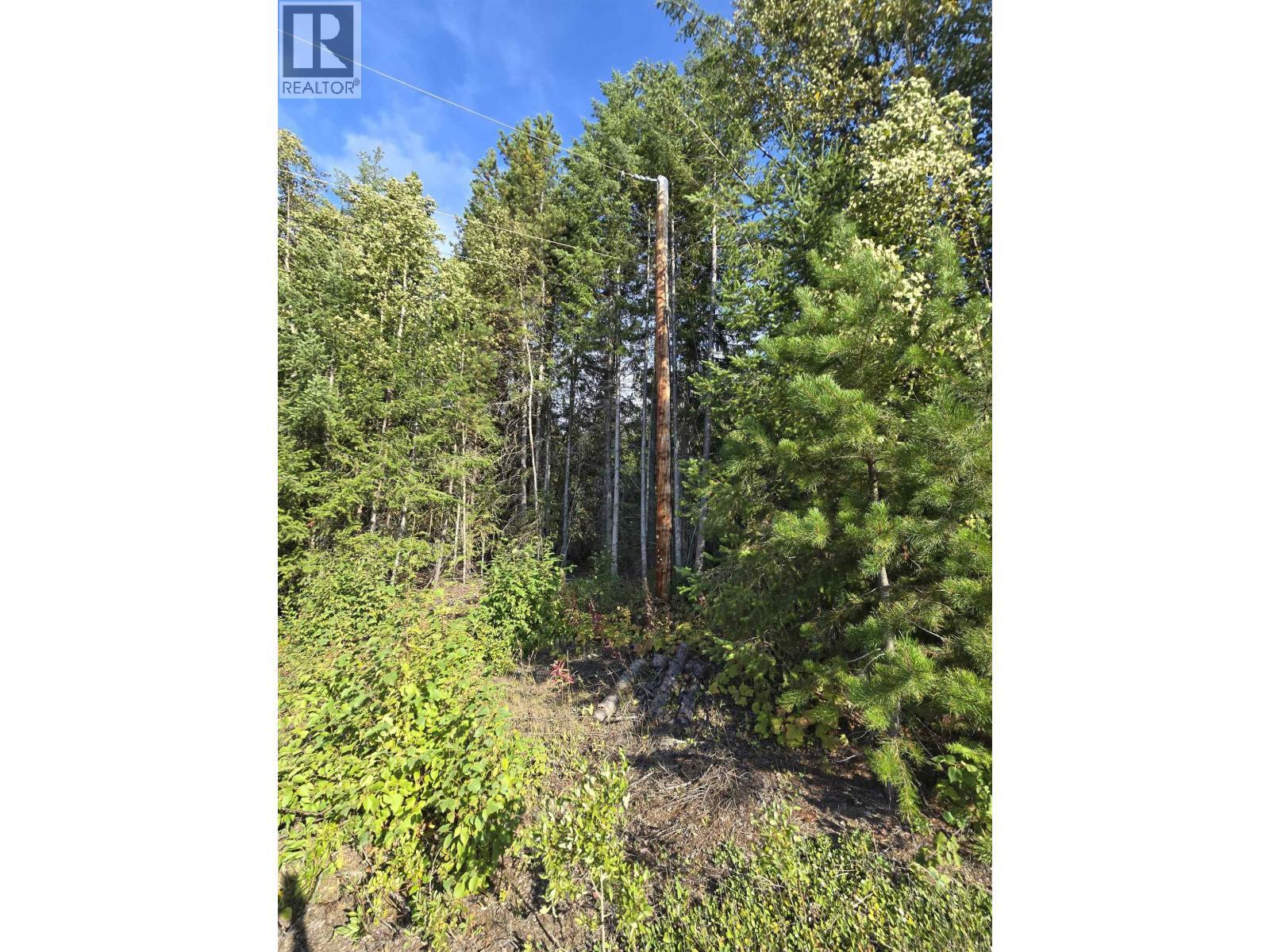 11328 E 16 Highway, Valemount, BC