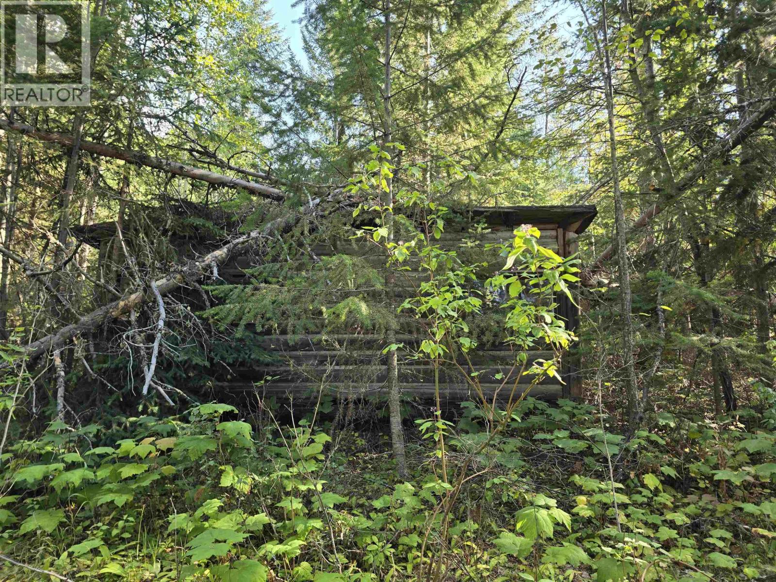 11328 E 16 Highway, Valemount, BC