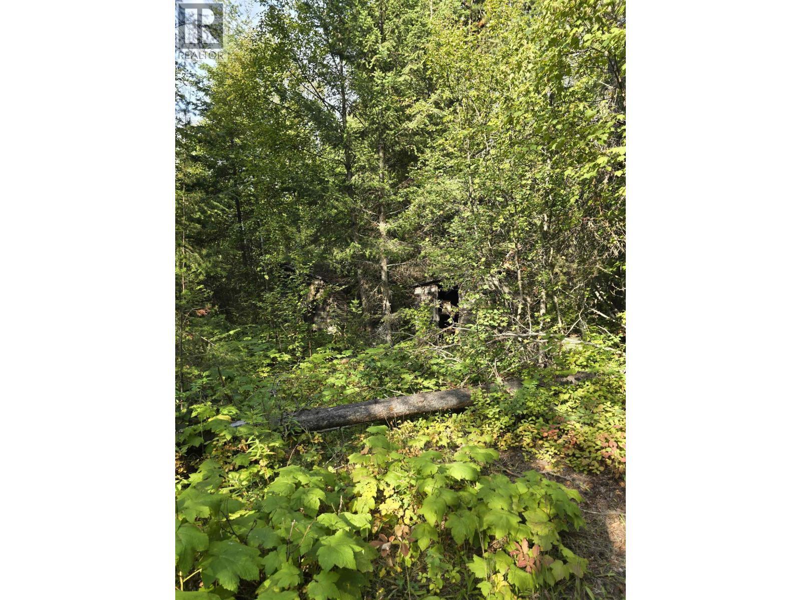 11328 E 16 Highway, Valemount, BC