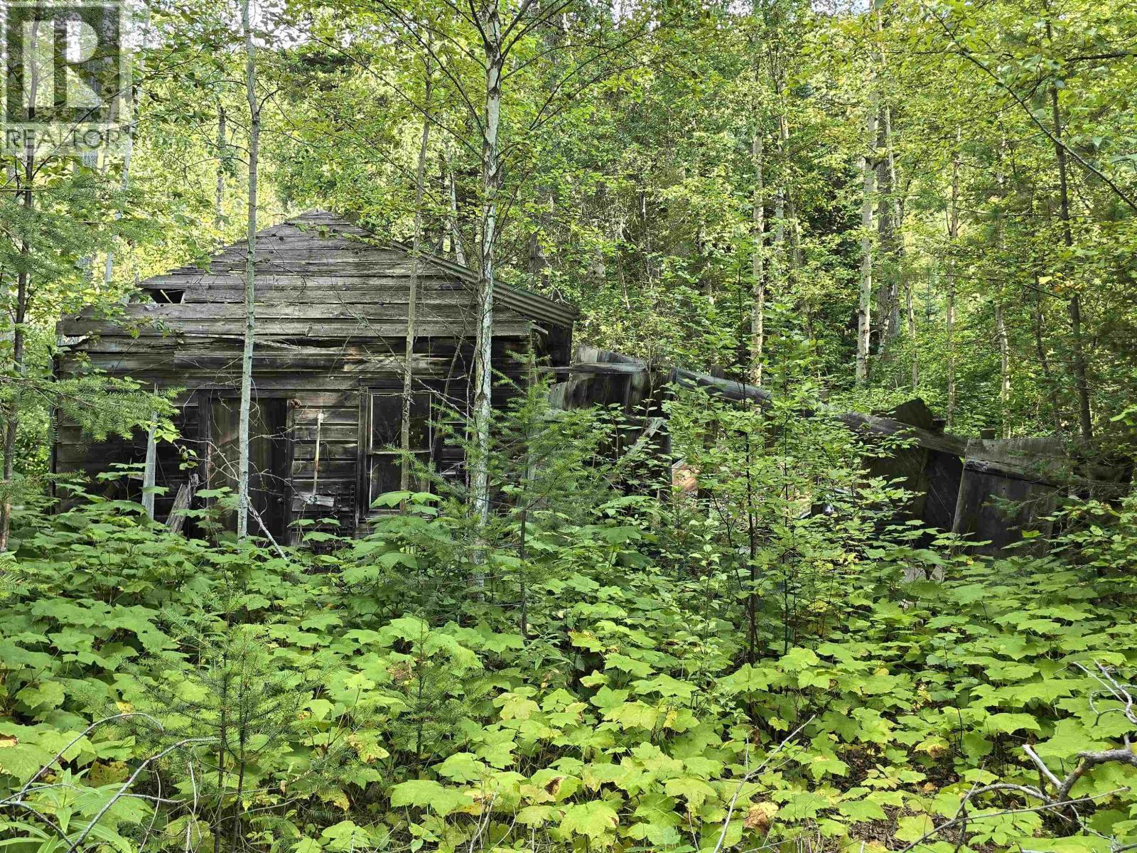 11328 E 16 Highway, Valemount, BC