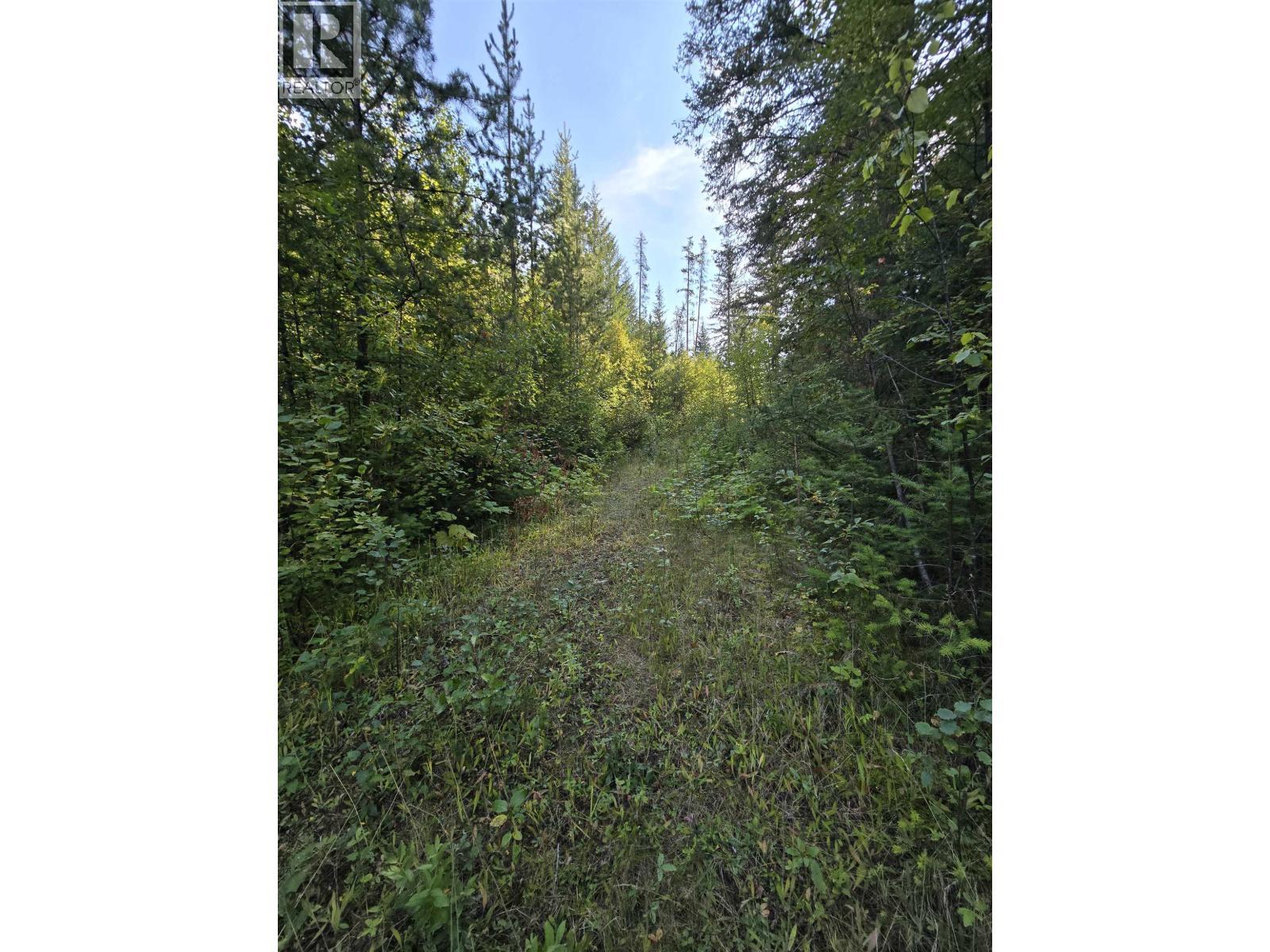 11328 E 16 Highway, Valemount, BC