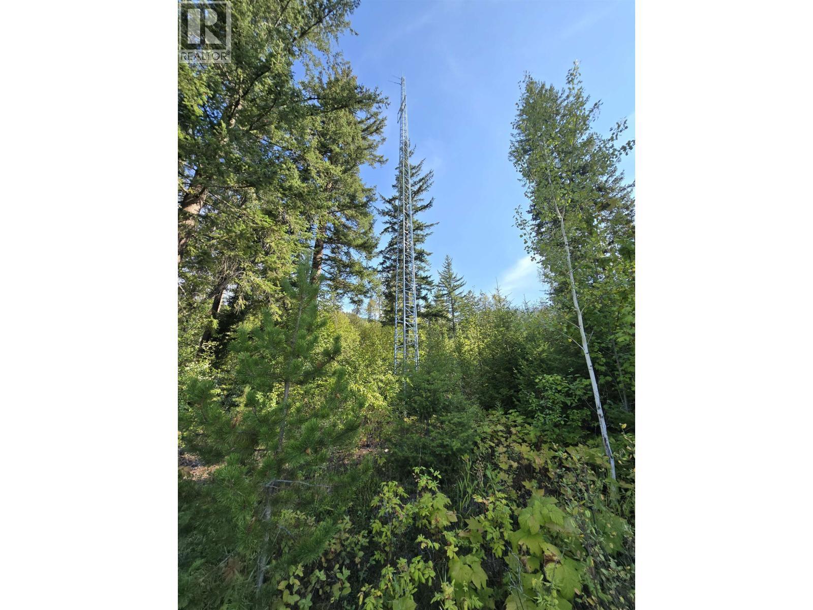 11328 E 16 Highway, Valemount, BC