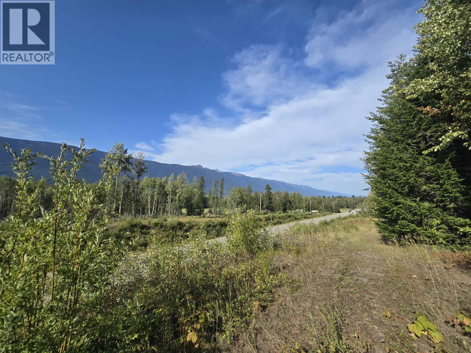 11328 E 16 Highway, Valemount, BC