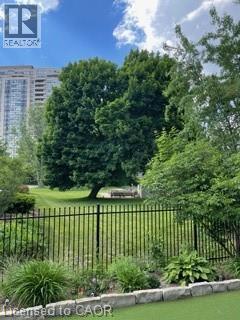Summer view over to Community gardens - 124 Allen Street E, Waterloo, ON - Outdoor