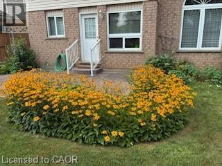 6 Keller Crescent, Kitchener, ON - Outdoor