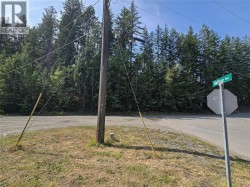 BALFOUR Avenue Lot# LOT 8 Kaslo, BC V0G 1M0