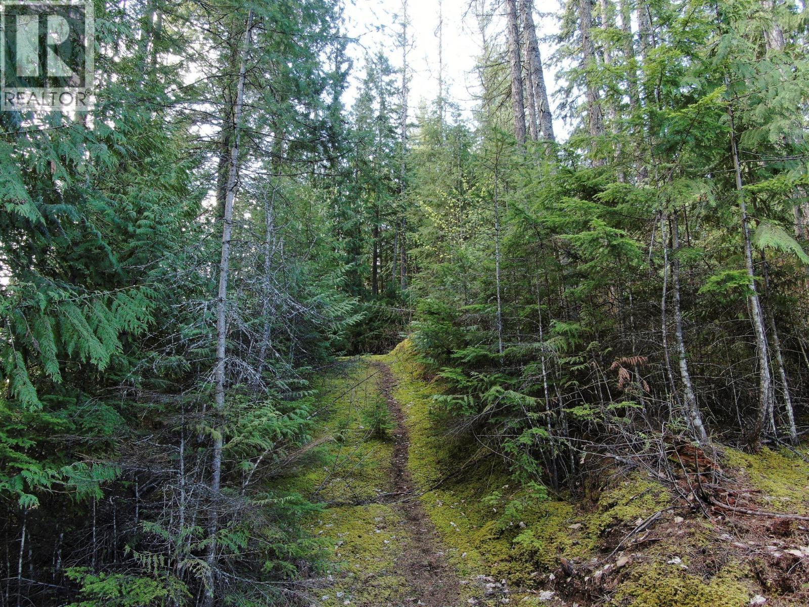 Balfour Avenue Lot# Lot 8, Kaslo, BC
