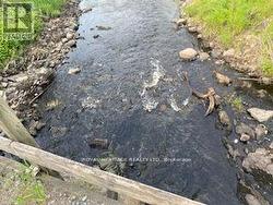 17556 HIGHWAY 62 Madoc, ON K0K 2K0