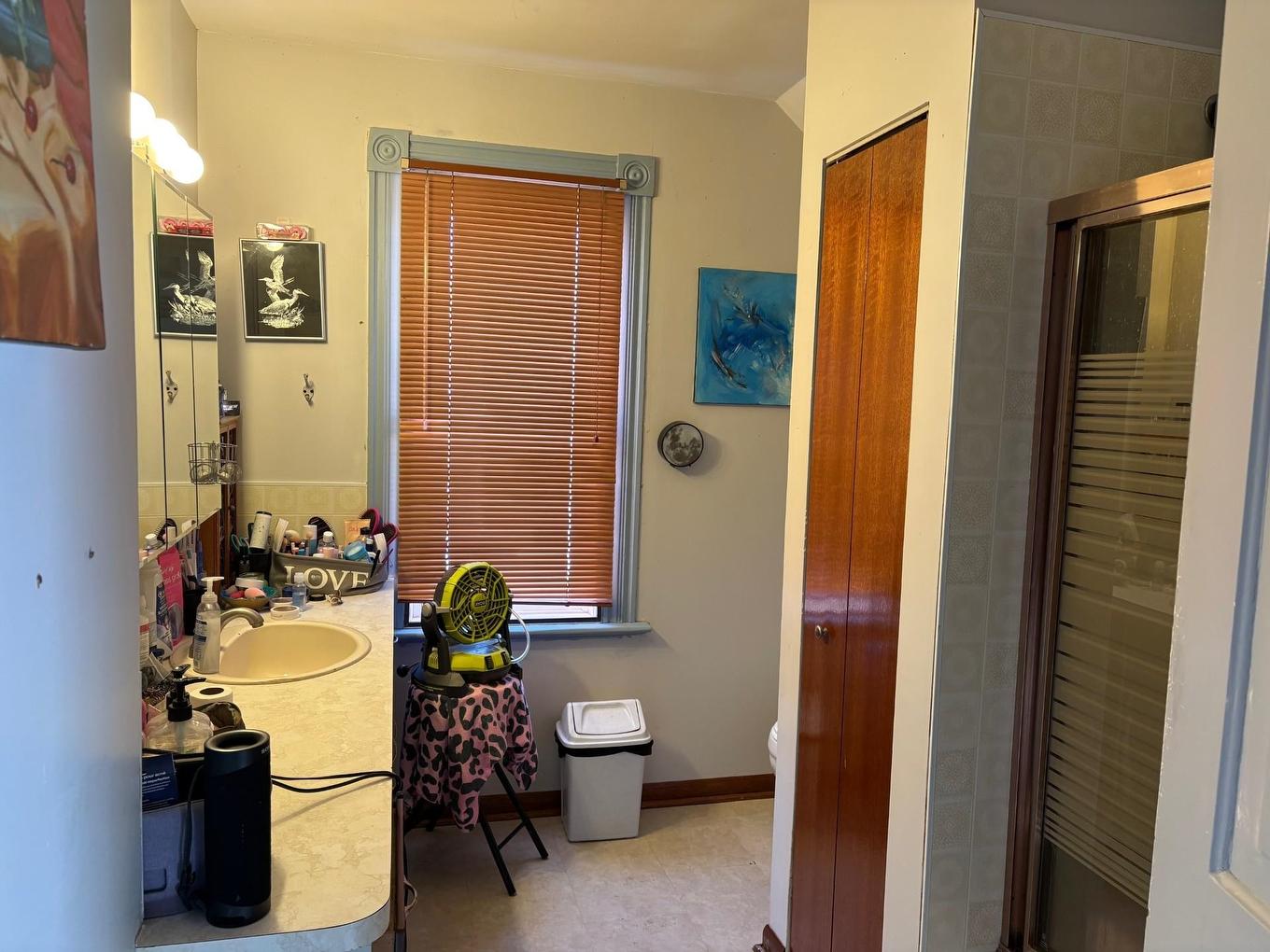 515 Brock St E, Thunder Bay, ON - Indoor Photo Showing Bathroom