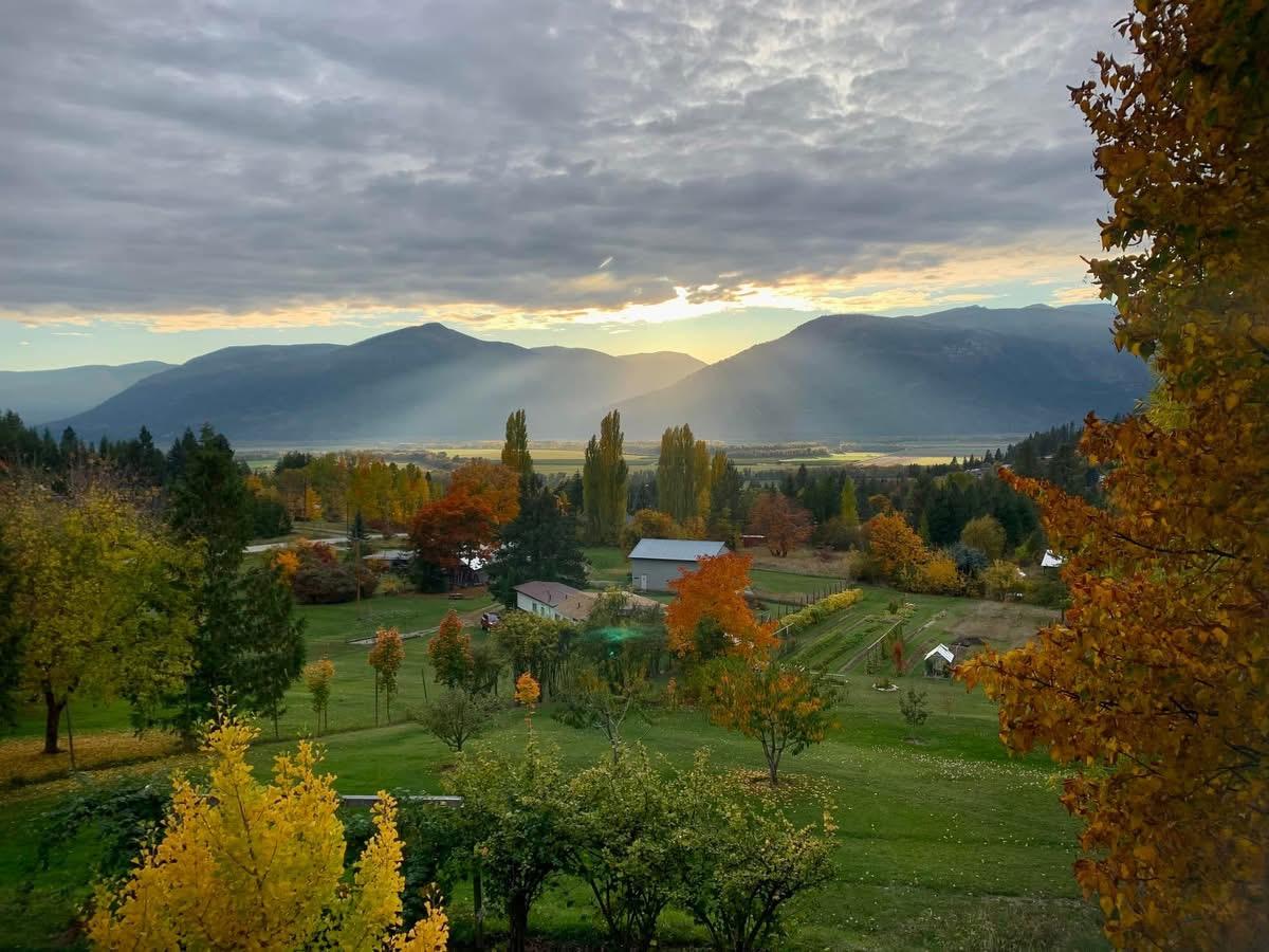 5253 Elsie Holmes Road, Wynndel, BC - Outdoor With View