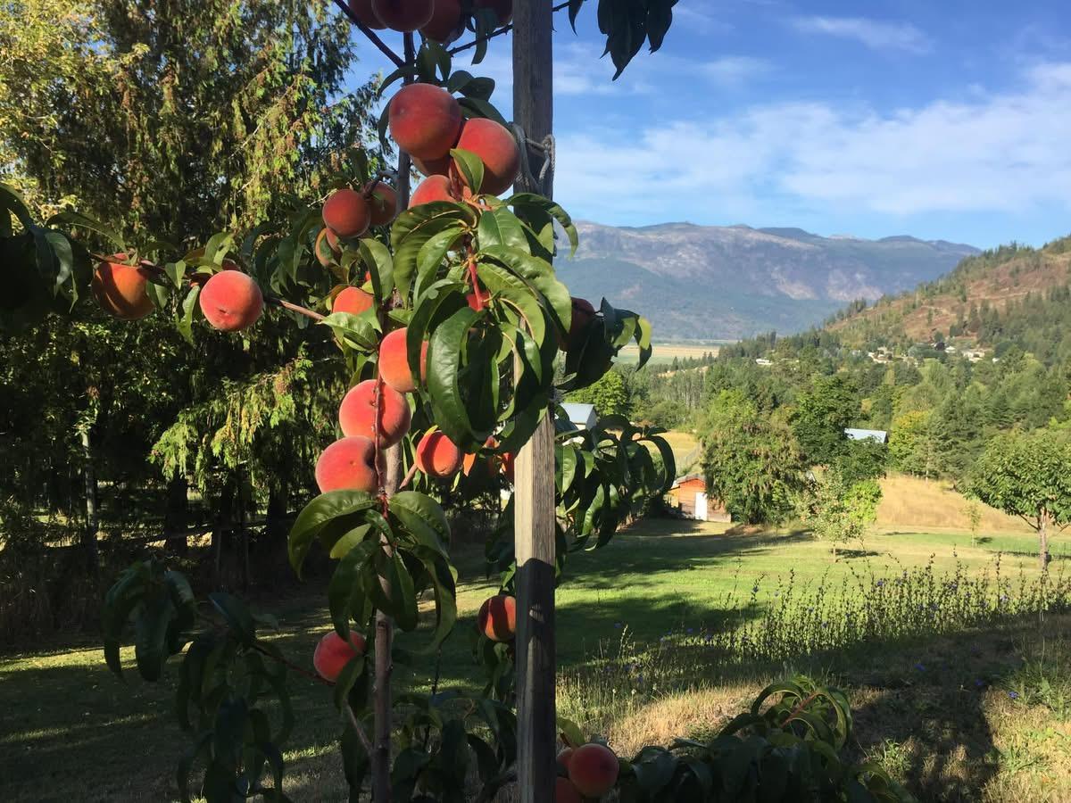 5253 Elsie Holmes Road, Wynndel, BC - Outdoor With View