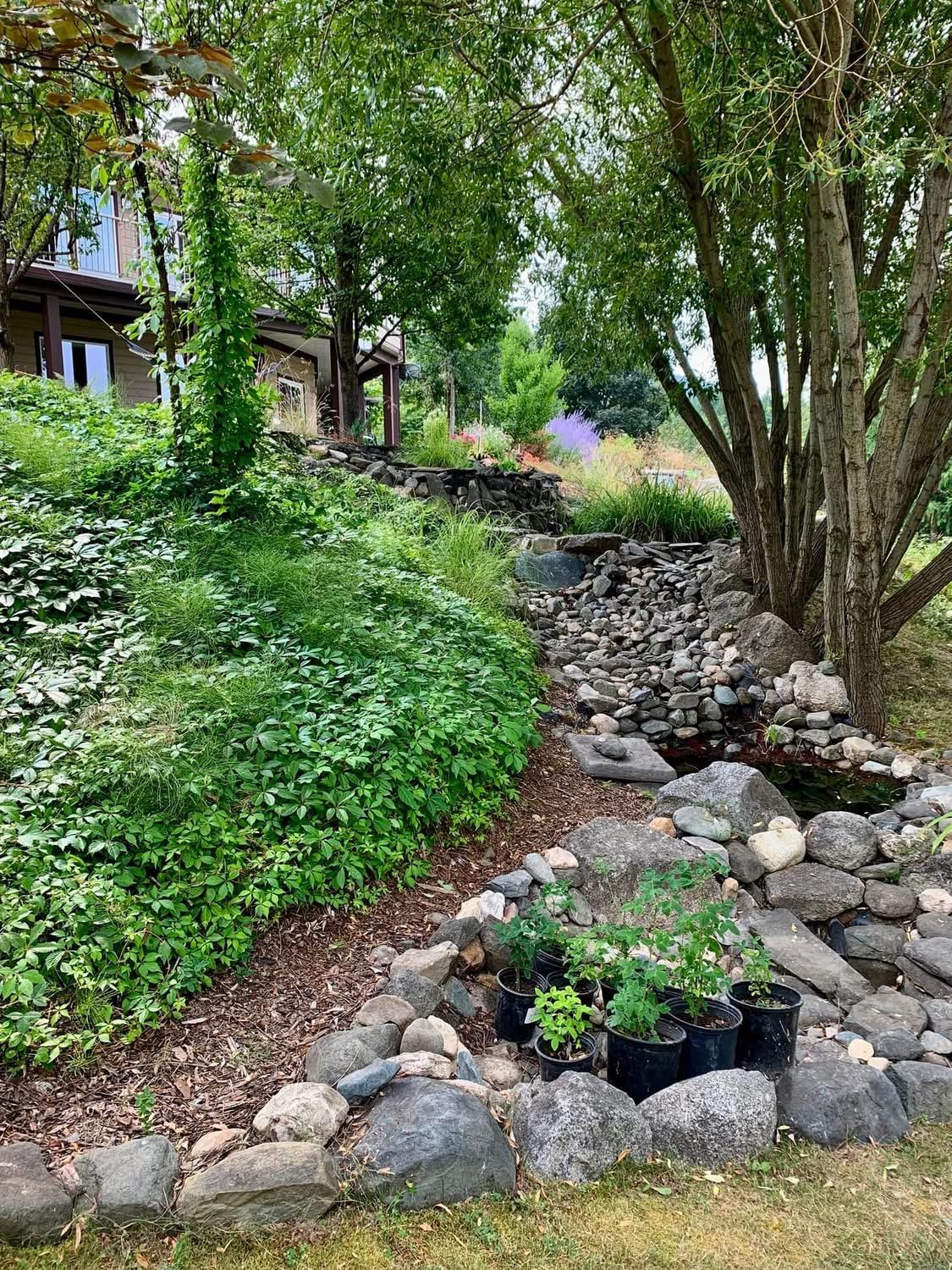 5253 Elsie Holmes Road, Wynndel, BC - Outdoor