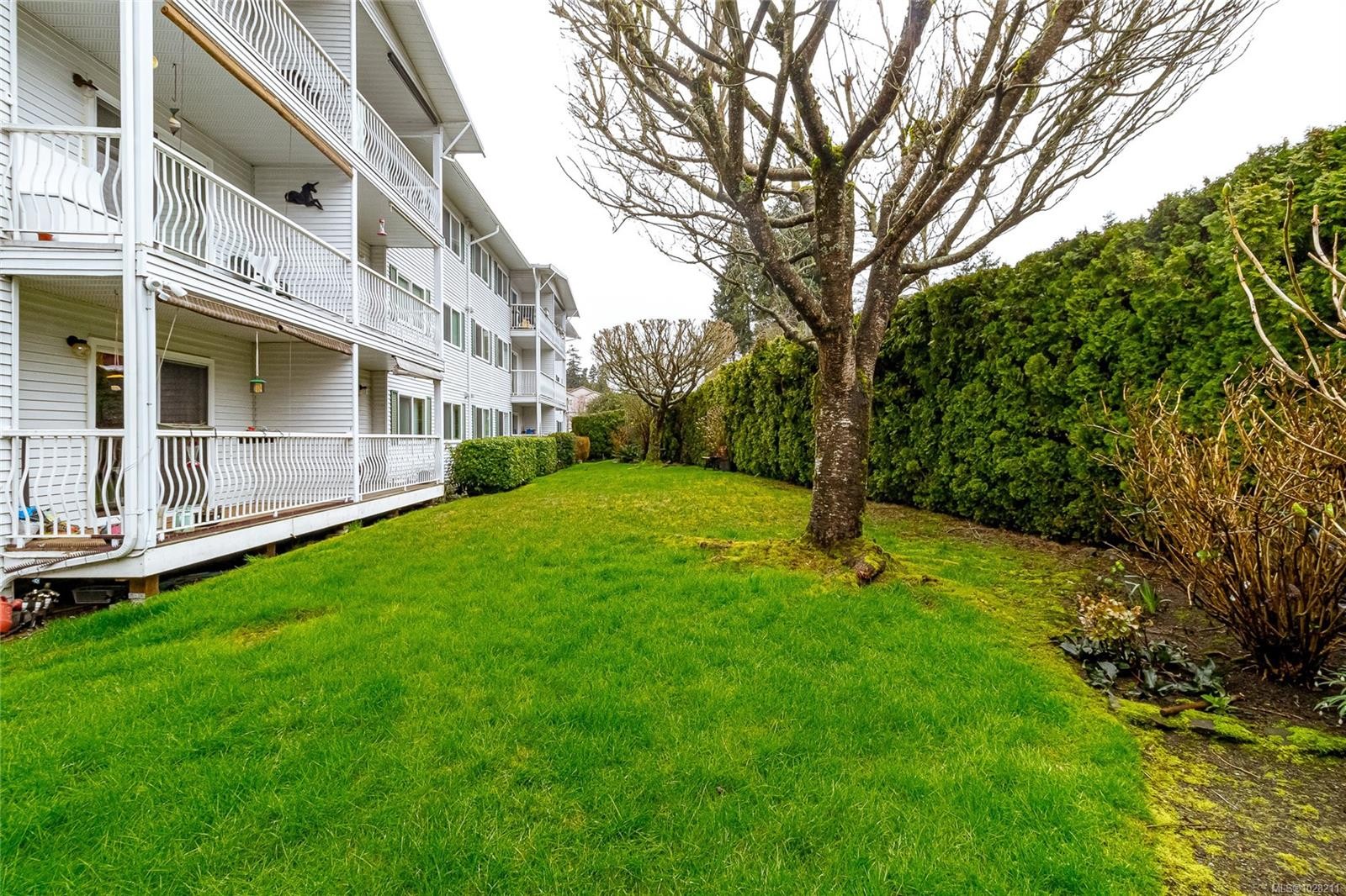 101-9942 Daniel St, Chemainus, BC - Outdoor With Deck Patio Veranda