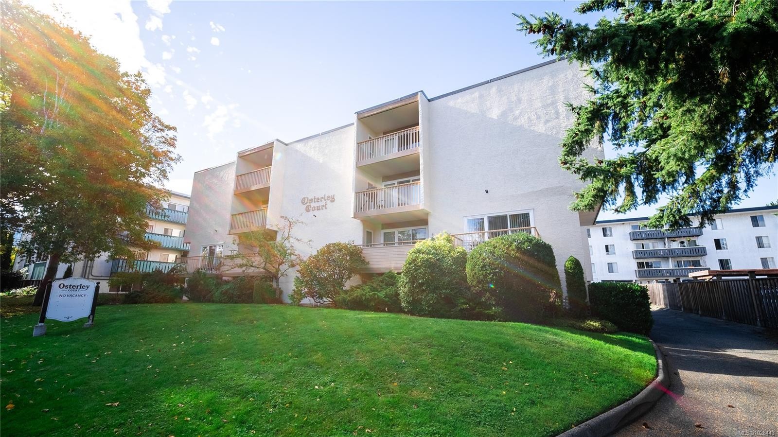 1520 Richmond Ave, Victoria, BC - Outdoor
