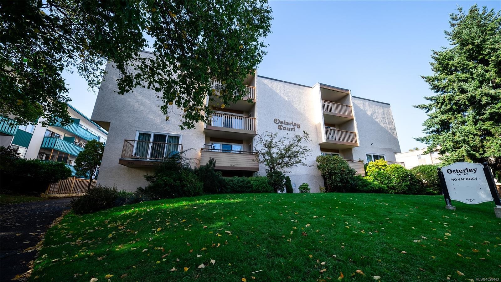 1520 Richmond Ave, Victoria, BC - Outdoor