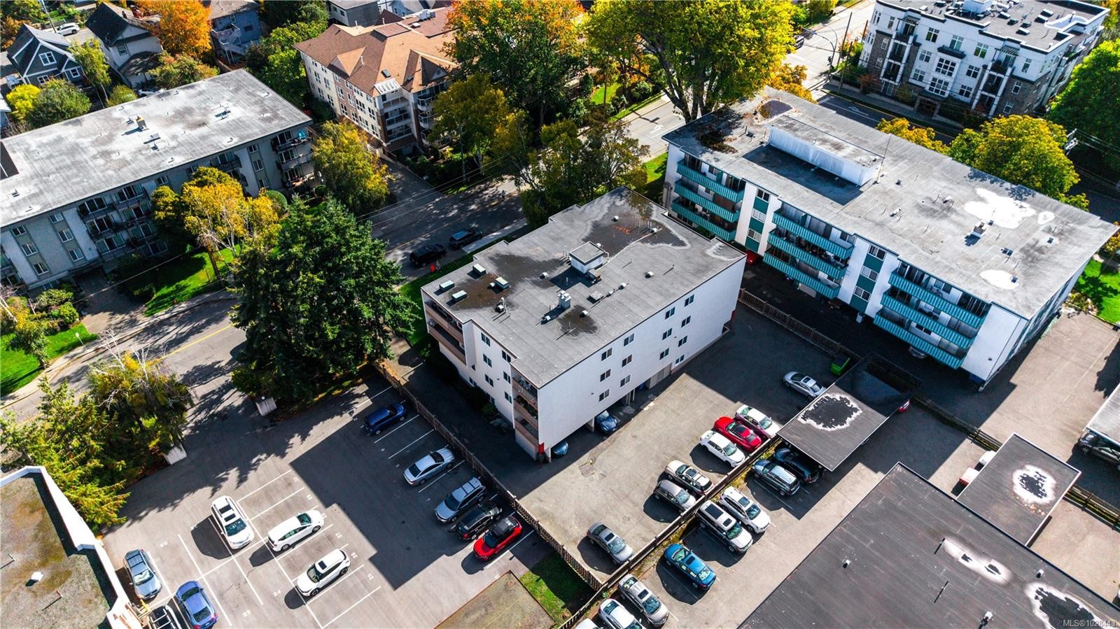 1520 Richmond Ave, Victoria, BC - Outdoor With View