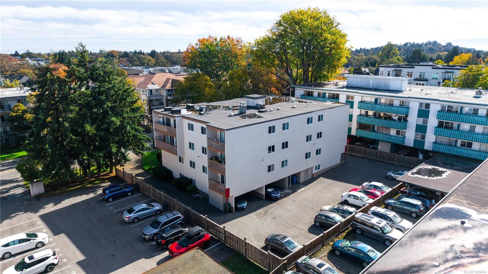 1520 Richmond Ave, Victoria, BC - Outdoor With View