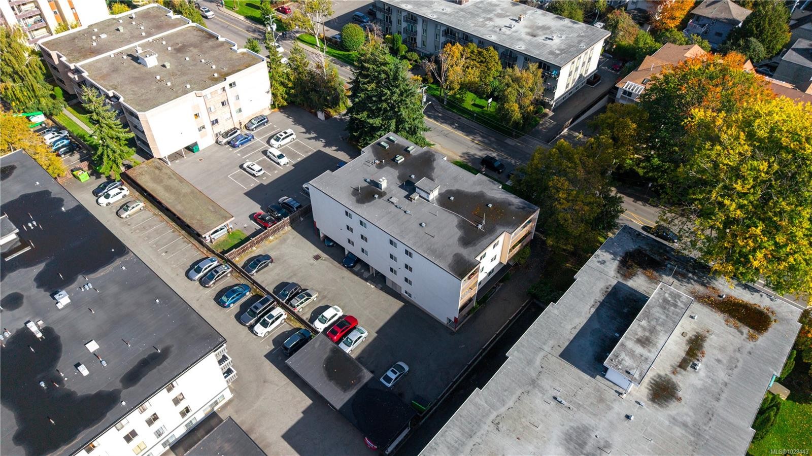 1520 Richmond Ave, Victoria, BC - With View