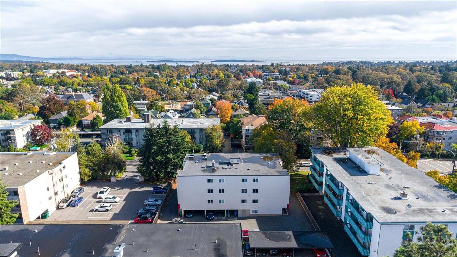 1520 Richmond Ave, Victoria, BC - Outdoor With View
