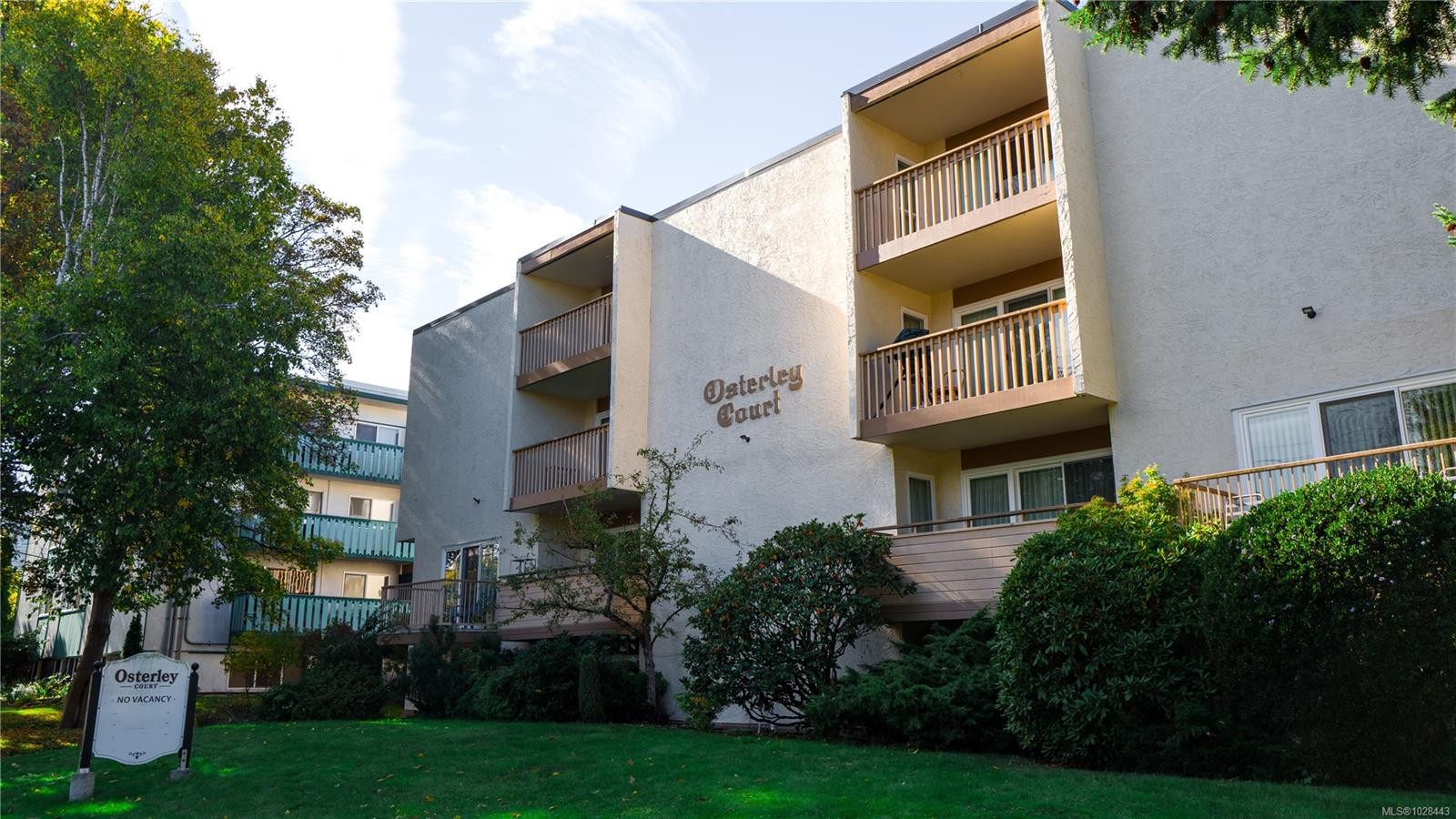 1520 Richmond Ave, Victoria, BC - Outdoor