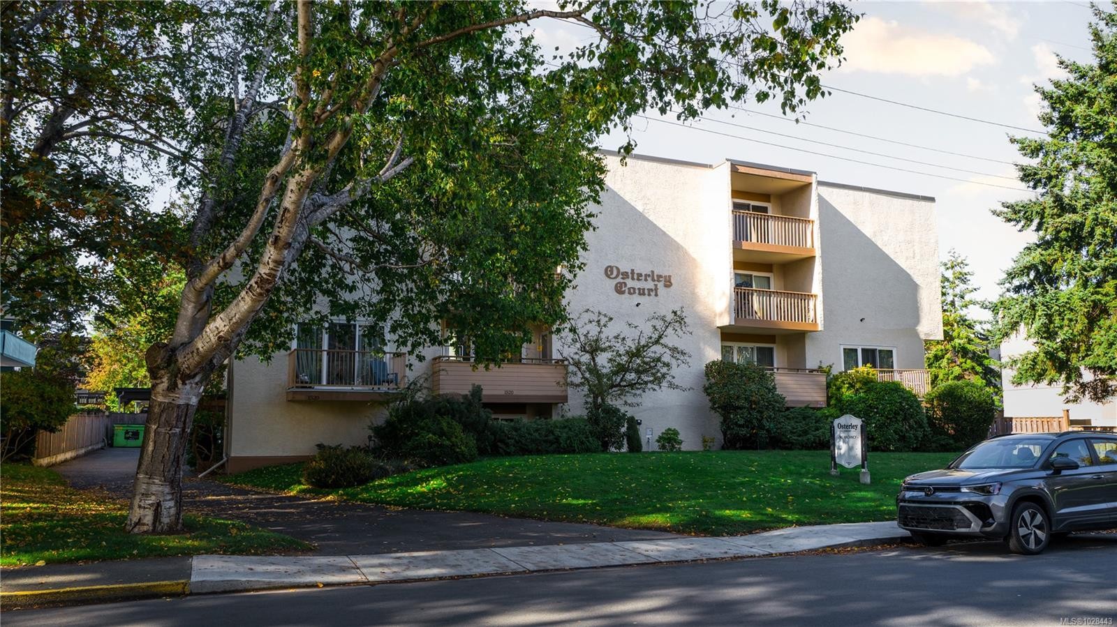 1520 Richmond Ave, Victoria, BC - Outdoor