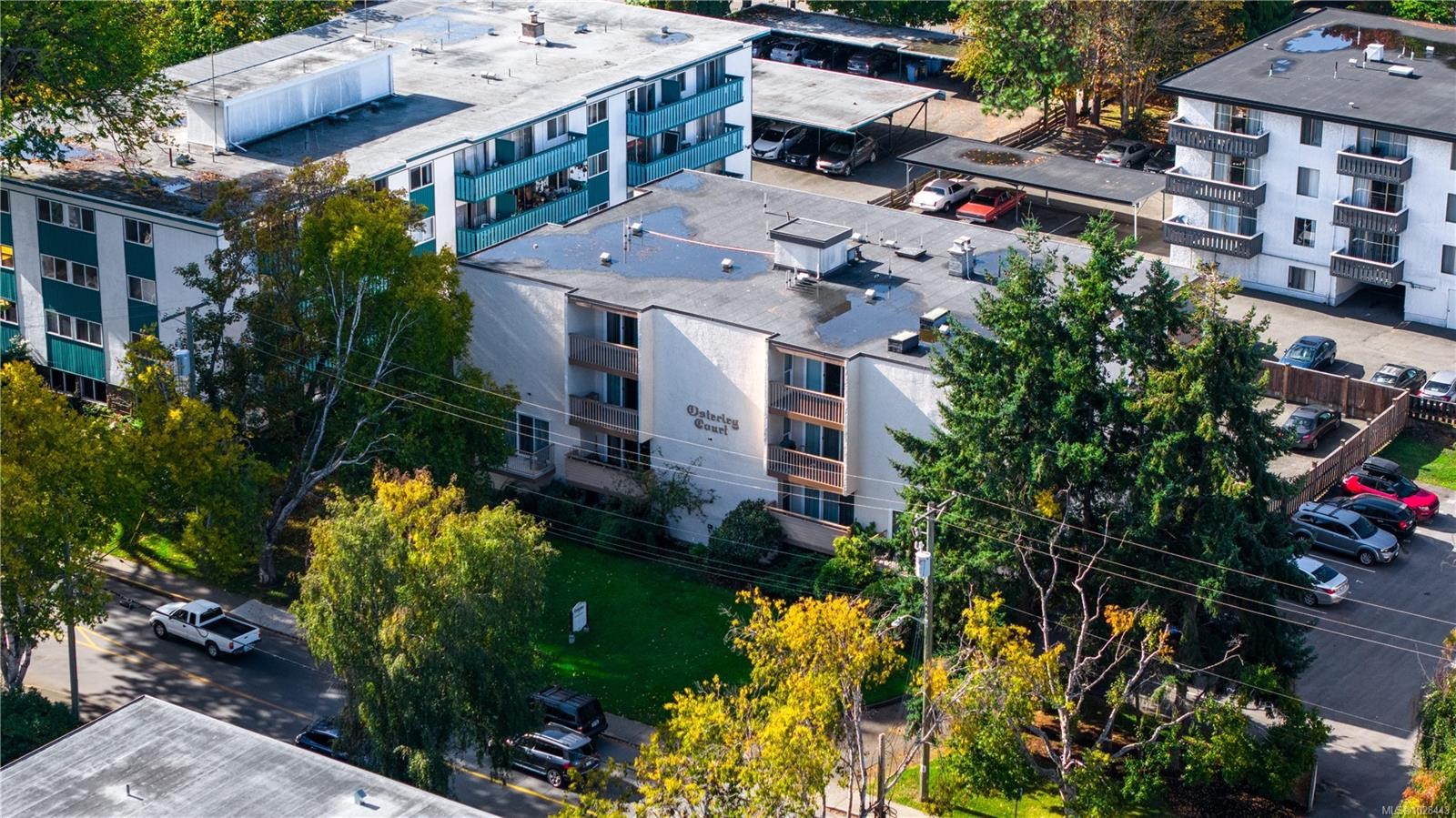 1520 Richmond Ave, Victoria, BC - Outdoor