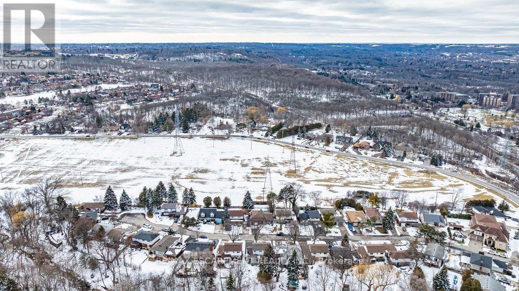 19 Chateau Court, Hamilton, ON - Outdoor With View