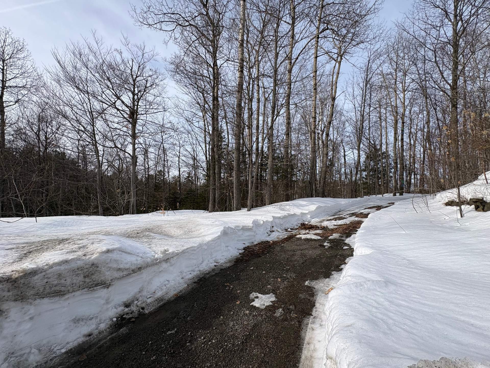 Terre/Terrain - Ch. De La Brise, Saint-Hippolyte, QC