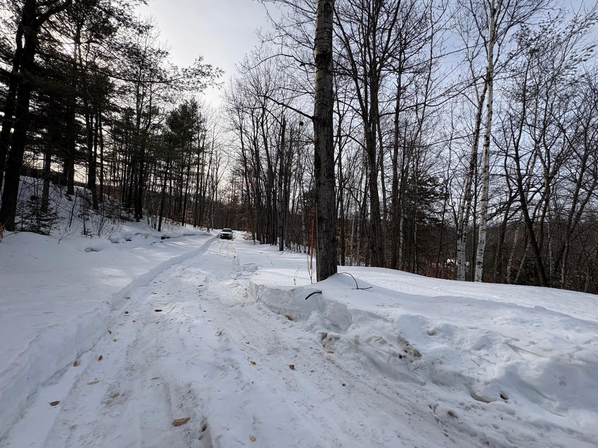 Terre/Terrain - Ch. De La Brise, Saint-Hippolyte, QC