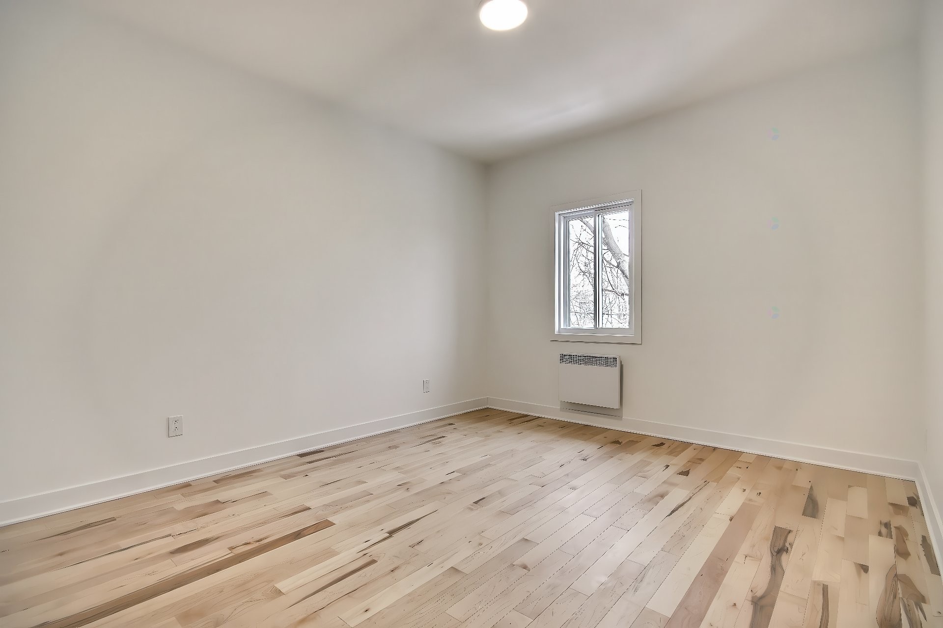 Master Bedroom - 5816 Rue De La Roche, Montréal (Rosemont/La Petite-Patrie), QC - Indoor Photo Showing Other Room