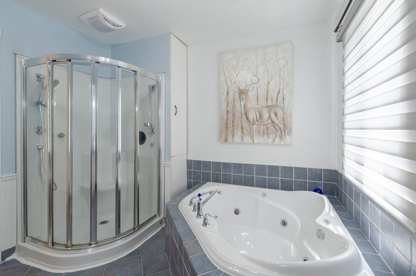 Bathroom - 202 25E Rue O., Venise-En-Québec, QC - Indoor Photo Showing Bathroom