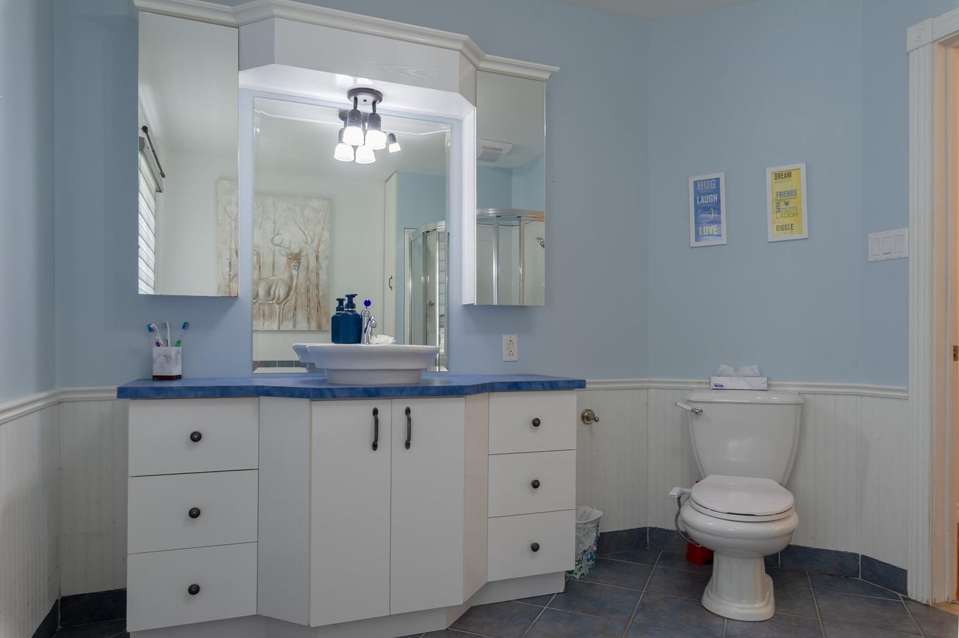 Bathroom - 202 25E Rue O., Venise-En-Québec, QC - Indoor Photo Showing Bathroom