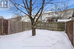FENCED BACKYARD AND JAPANESE MAPLE TREE -
