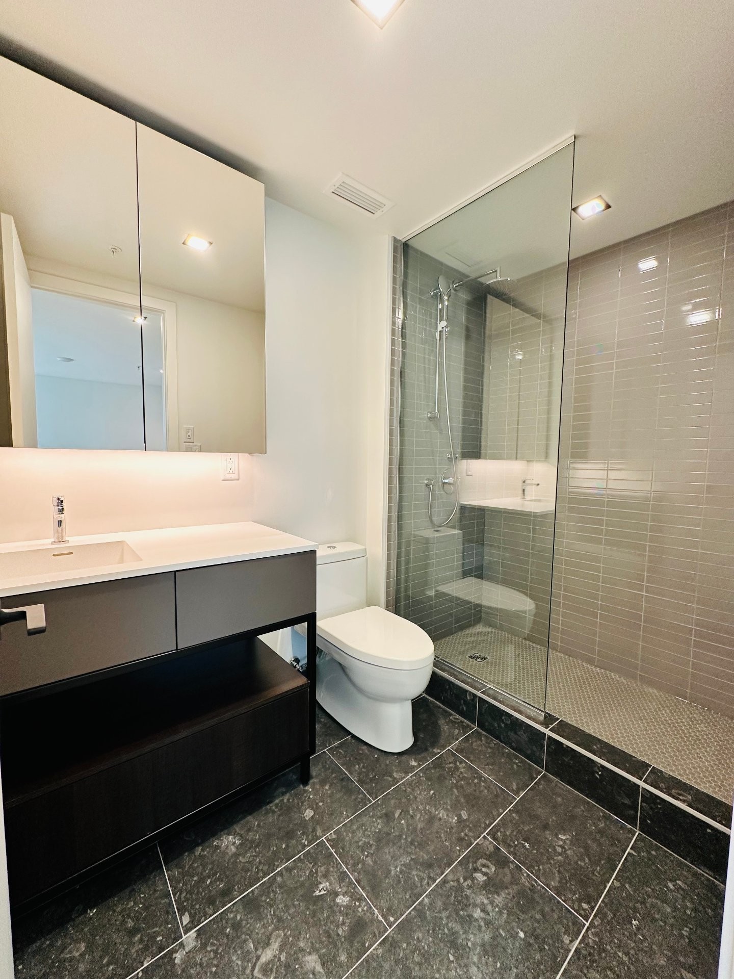 Salle de bains - 3701-1245 Rue De Bleury, Montréal (Ville-Marie), QC - Indoor Photo Showing Bathroom