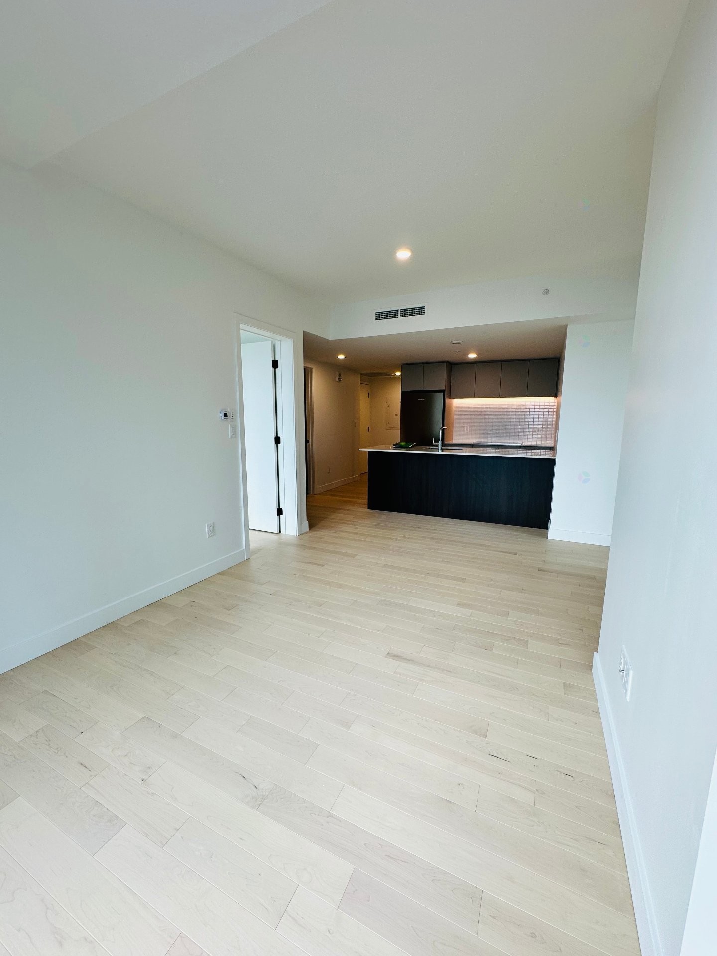 Salon - 3701-1245 Rue De Bleury, Montréal (Ville-Marie), QC - Indoor Photo Showing Other Room