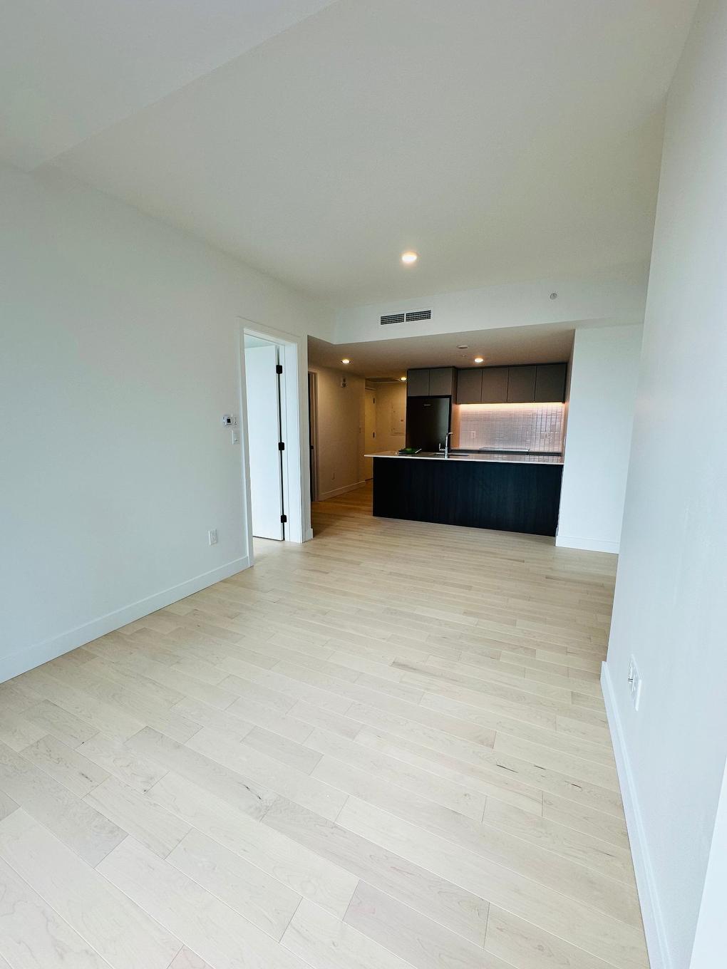 Living room - 3701-1245 Rue De Bleury, Montréal (Ville-Marie), QC - Indoor Photo Showing Other Room