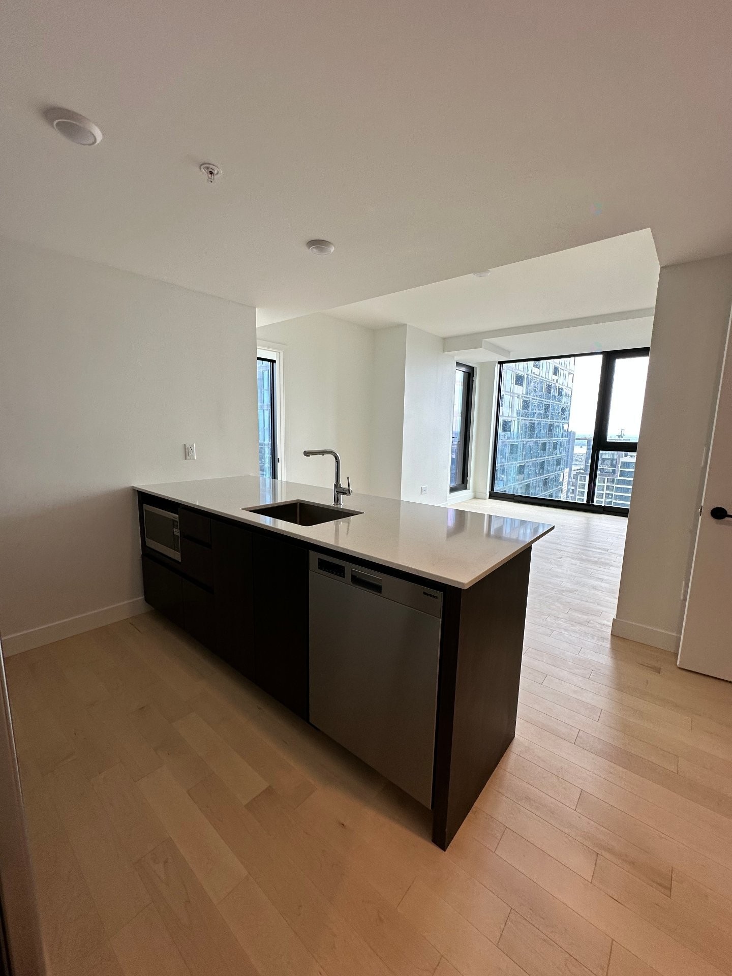 Cuisine - 3701-1245 Rue De Bleury, Montréal (Ville-Marie), QC - Indoor Photo Showing Kitchen