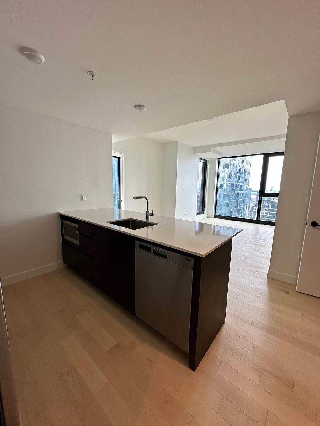Kitchen - 3701-1245 Rue De Bleury, Montréal (Ville-Marie), QC - Indoor Photo Showing Kitchen