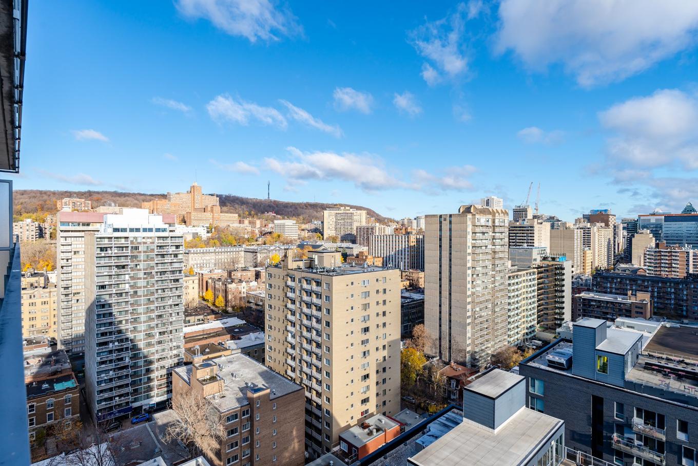 View - 2048-1414 Rue Chomedey, Montréal (Ville-Marie), QC - Outdoor