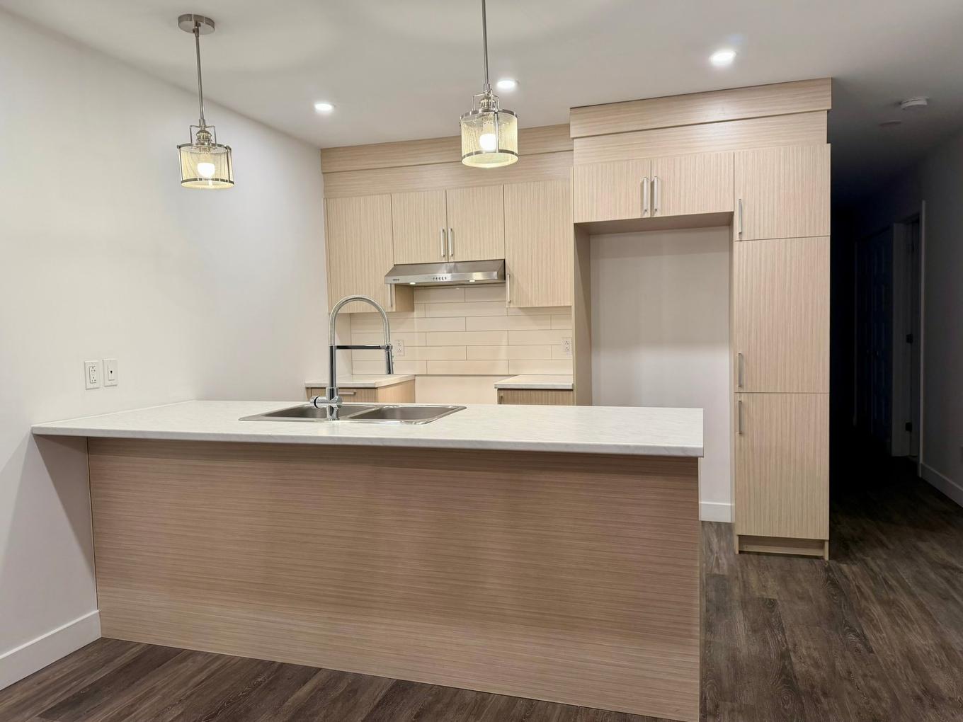 Kitchen - 201-3791 Rue De Mont-Royal, Longueuil (Saint-Hubert), QC - Indoor Photo Showing Kitchen With Double Sink