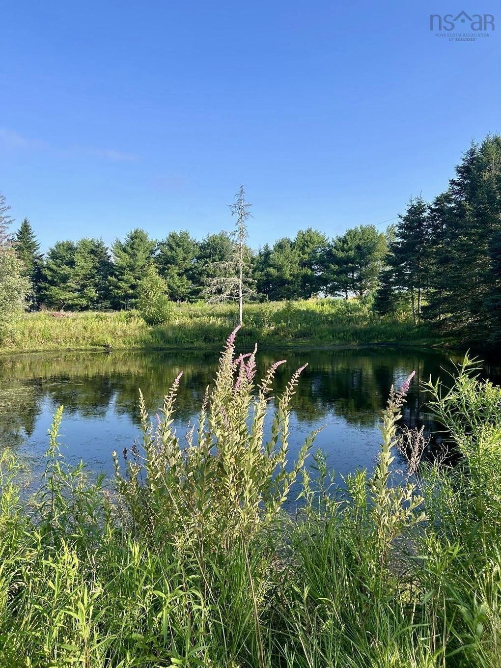 60 Baseline Road, Newton Mills, NS