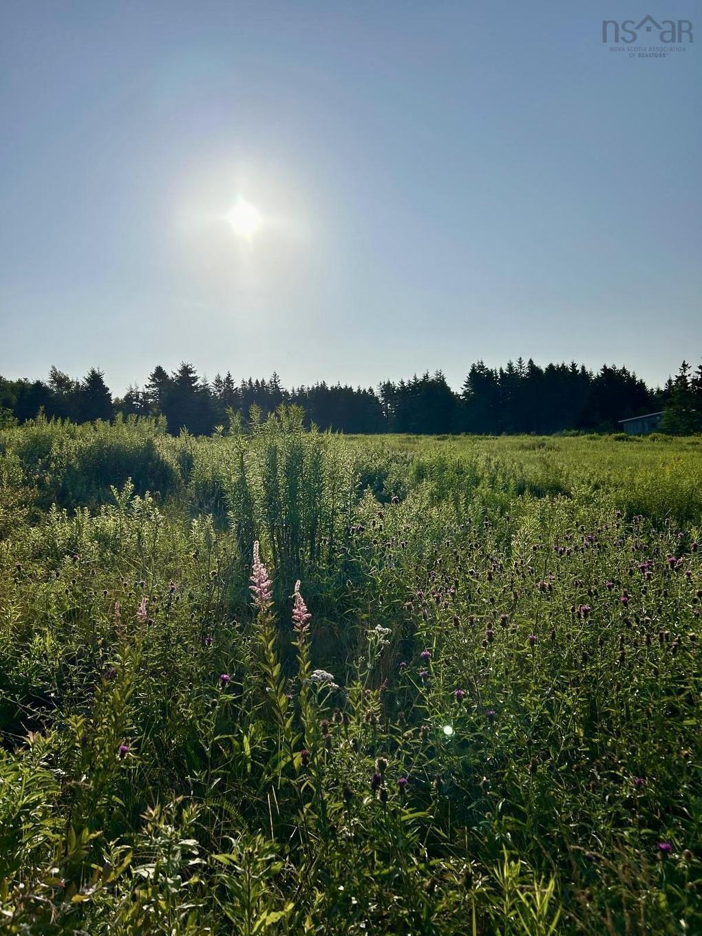 60 Baseline Road, Newton Mills, NS