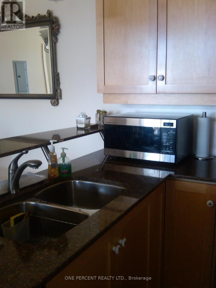 1603 - 95 Bronson Avenue, Ottawa, ON - Indoor Photo Showing Kitchen With Double Sink