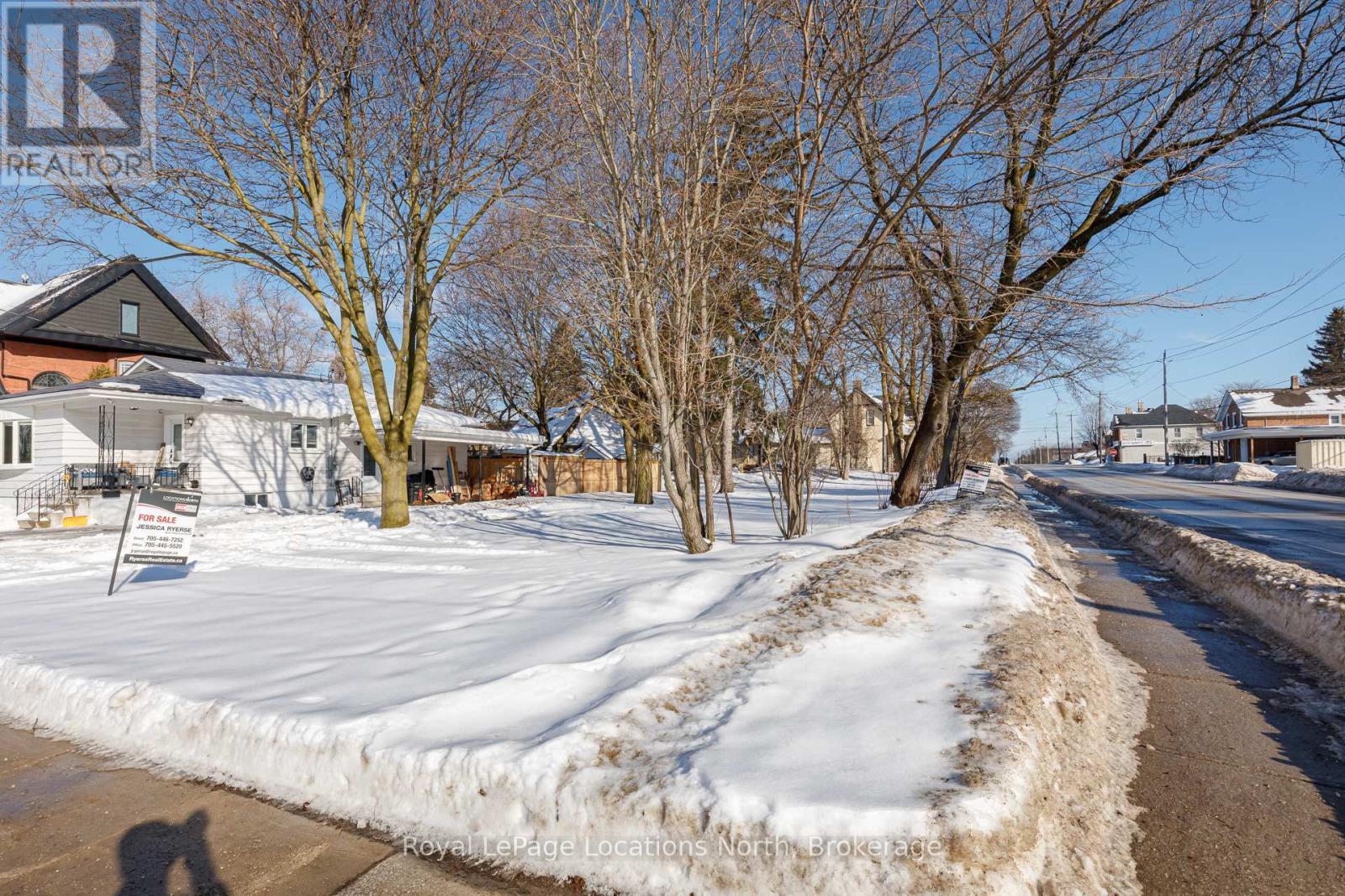 149 Minnesota Street, Collingwood, ON