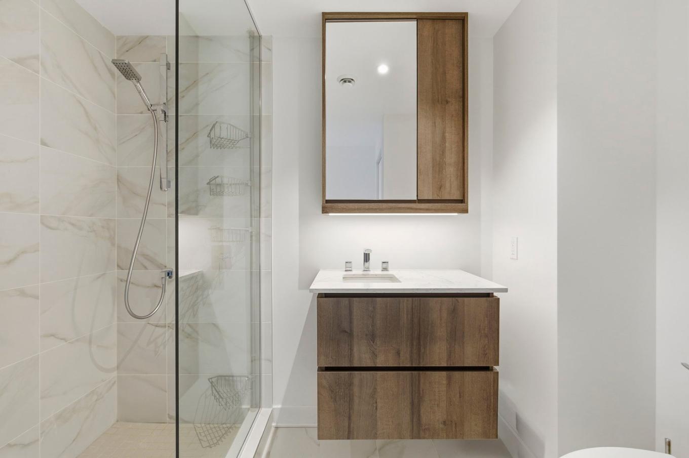 Salle de bains - 1201-170 Rue Rioux, Montréal (Le Sud-Ouest), QC - Indoor Photo Showing Bathroom